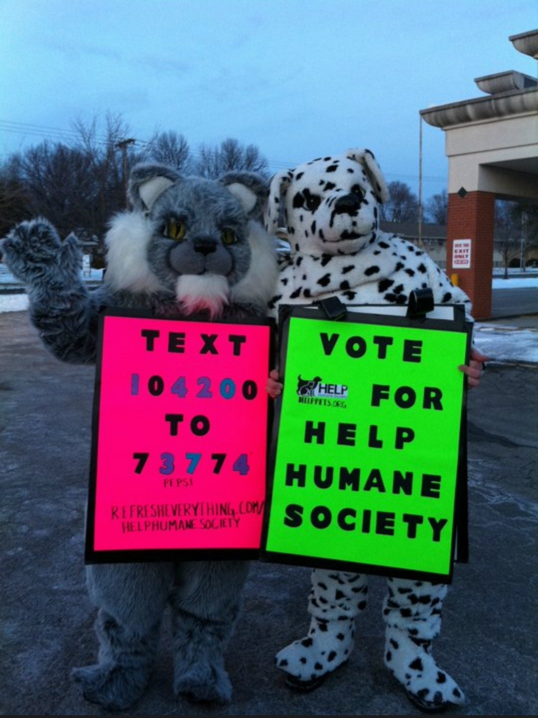 Fluffy and Spot campaigning for Help Humane Society